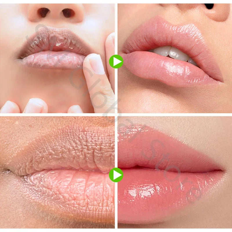 S205f8c6976144bd0981e968dfbb5a974h